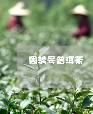 周骋号普洱茶/2023042589684