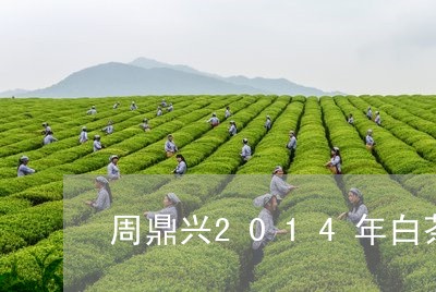 周鼎兴2014年白茶/2023092790725