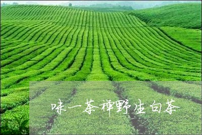 味一茶禅野生白茶/2023061321594