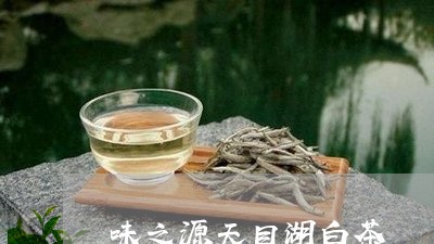 味之源天目湖白茶/2023061375059