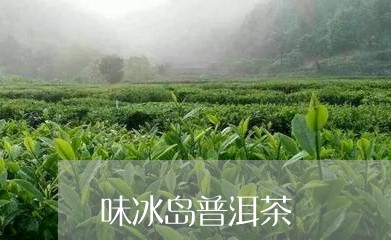 味冰岛普洱茶/2023042906420