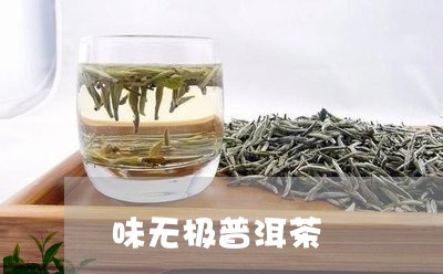 味无极普洱茶/2023042988638