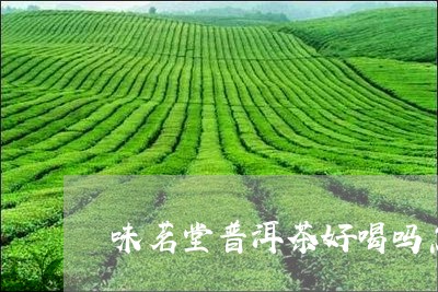 味茗堂普洱茶好喝吗怎么样/2023110224028