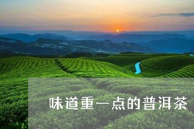 味道重一点的普洱茶/2023121550693