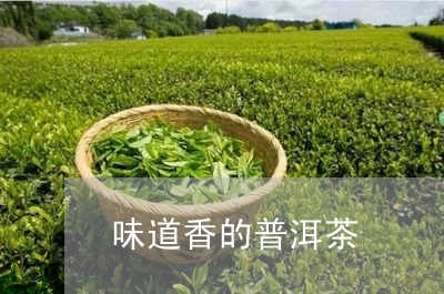 味道香的普洱茶/2023082938581