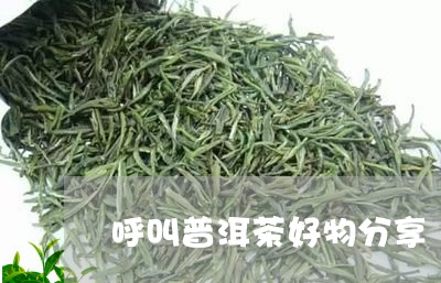 呼叫普洱茶好物分享/2023101737272