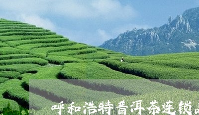 呼和浩特普洱茶连锁品牌/2023102505157