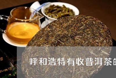 呼和浩特有收普洱茶的吗/2023110103836