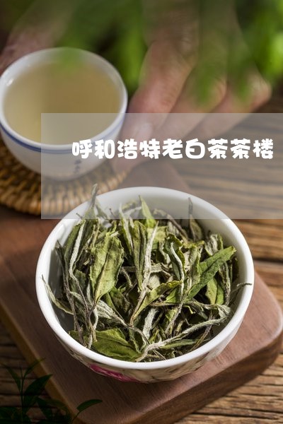 呼和浩特老白茶茶楼/2023071667147