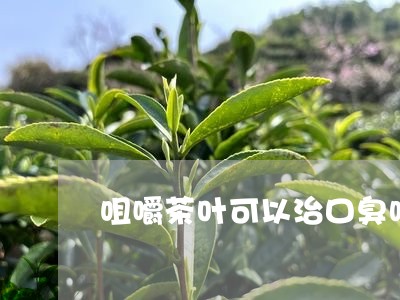 咀嚼茶叶可以治口臭吗/2023061240604