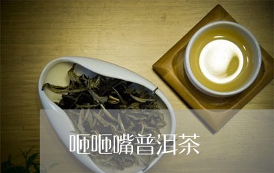 咂咂嘴普洱茶/2023112619584