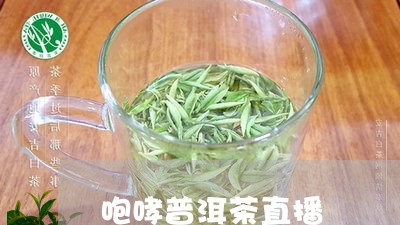 咆哮普洱茶直播/2023120368694