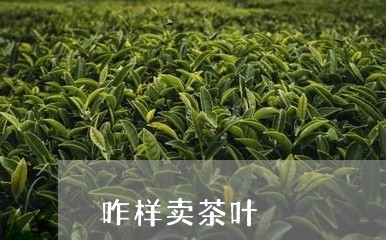 咋样卖茶叶/2023090219695