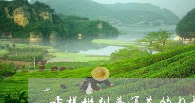 咋样辨别普洱茶的好坏/2023100653147