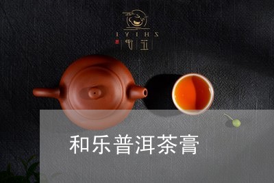 和乐普洱茶膏/2023042825676