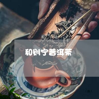 和则宁普洱茶/2023042500269