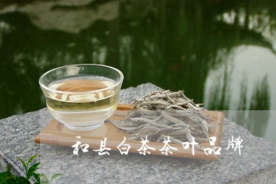 和县白茶茶叶品牌/2023061495261