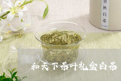 和天下茶叶礼盒白茶/2023081341583