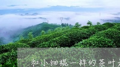 和小细棍一样的茶叶是什么茶/2023052704168