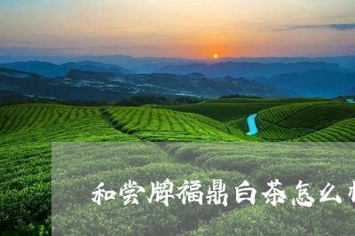 和尝牌福鼎白茶怎么样/2023120729362