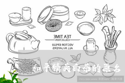和平精英白茶的原名/2023081383849