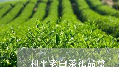 和平老白茶礼品盒/2023061409573