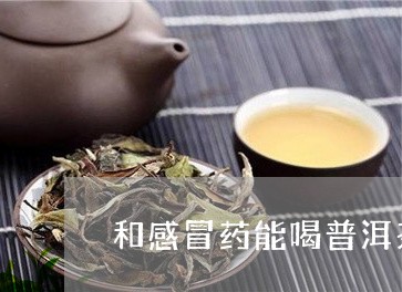 和感冒药能喝普洱茶吗/2023092642594