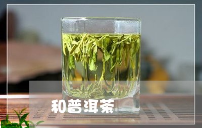 和普洱茶/2023110818269