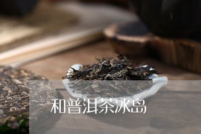 和普洱茶冰岛/2023042989938