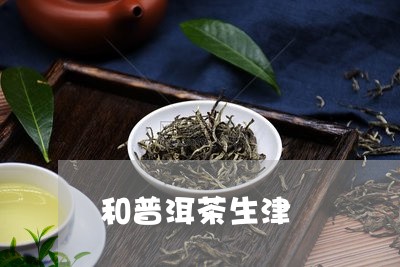 和普洱茶生津/2023091398473