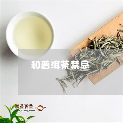 和普洱茶禁忌/2023042791189