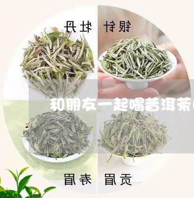 和朋友一起喝普洱茶图/2023092557050