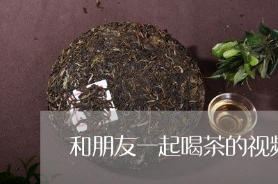 和朋友一起喝茶的视频/2023092058504