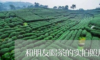 和朋友喝茶的实拍照片/2023060838624