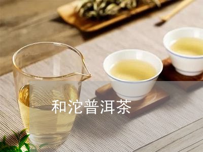 和沱普洱茶/2023090621793