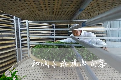 和润千禧福鼎白茶/2023061402937