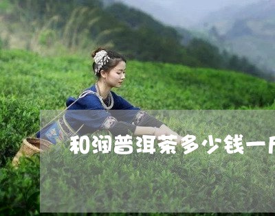 和润普洱茶多少钱一斤/2023061588391