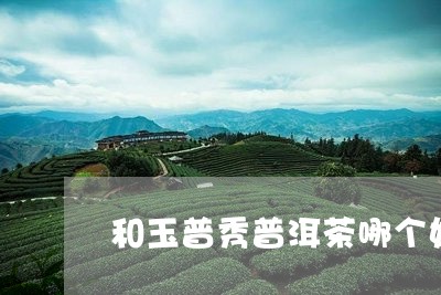 和玉普秀普洱茶哪个好喝/2023082581937