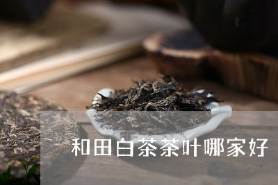 和田白茶茶叶哪家好/2023121801693