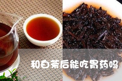 和白茶后能吃胃药吗/2023071686251