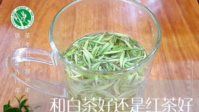 和白茶好还是红茶好/2023071683026