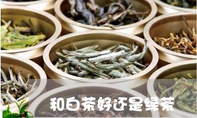 和白茶好还是绿茶/2023061482828