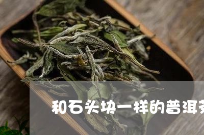 和石头块一样的普洱茶/2023092672504