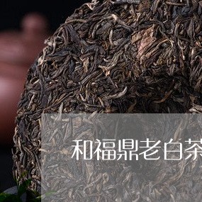 和福鼎老白茶相似的茶/2023091593958