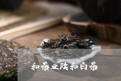 和茶业政和白茶/2023090752513