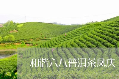 和谐六八普洱茶凤庆/2023100831535