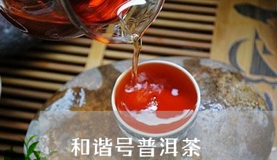 和谐号普洱茶/2023042756006