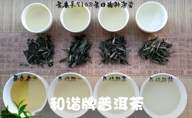 和谐牌普洱茶/2023042758268