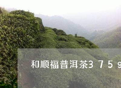 和顺福普洱茶375g/2023072407383