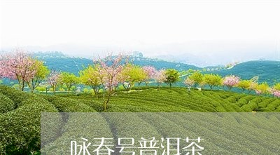 咏春号普洱茶/2023042838444